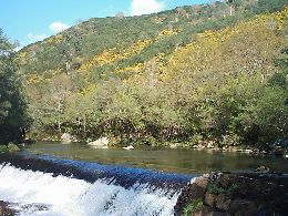 Toma de agua de central eléctrica
